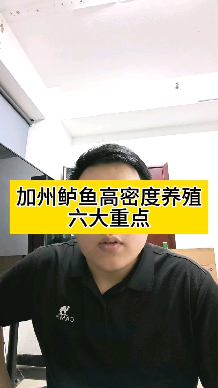 加州鲈鱼高密度养殖的六大重点