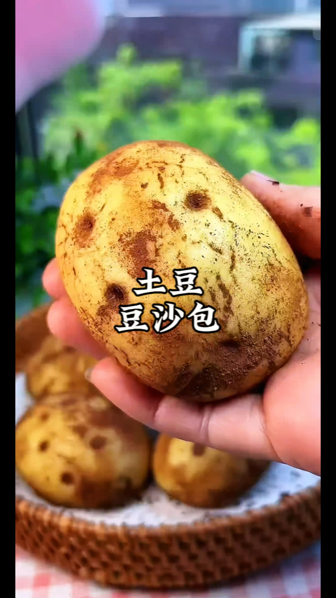 土豆平时你都怎么吃,做一个这样的土豆豆沙包,老好吃啦