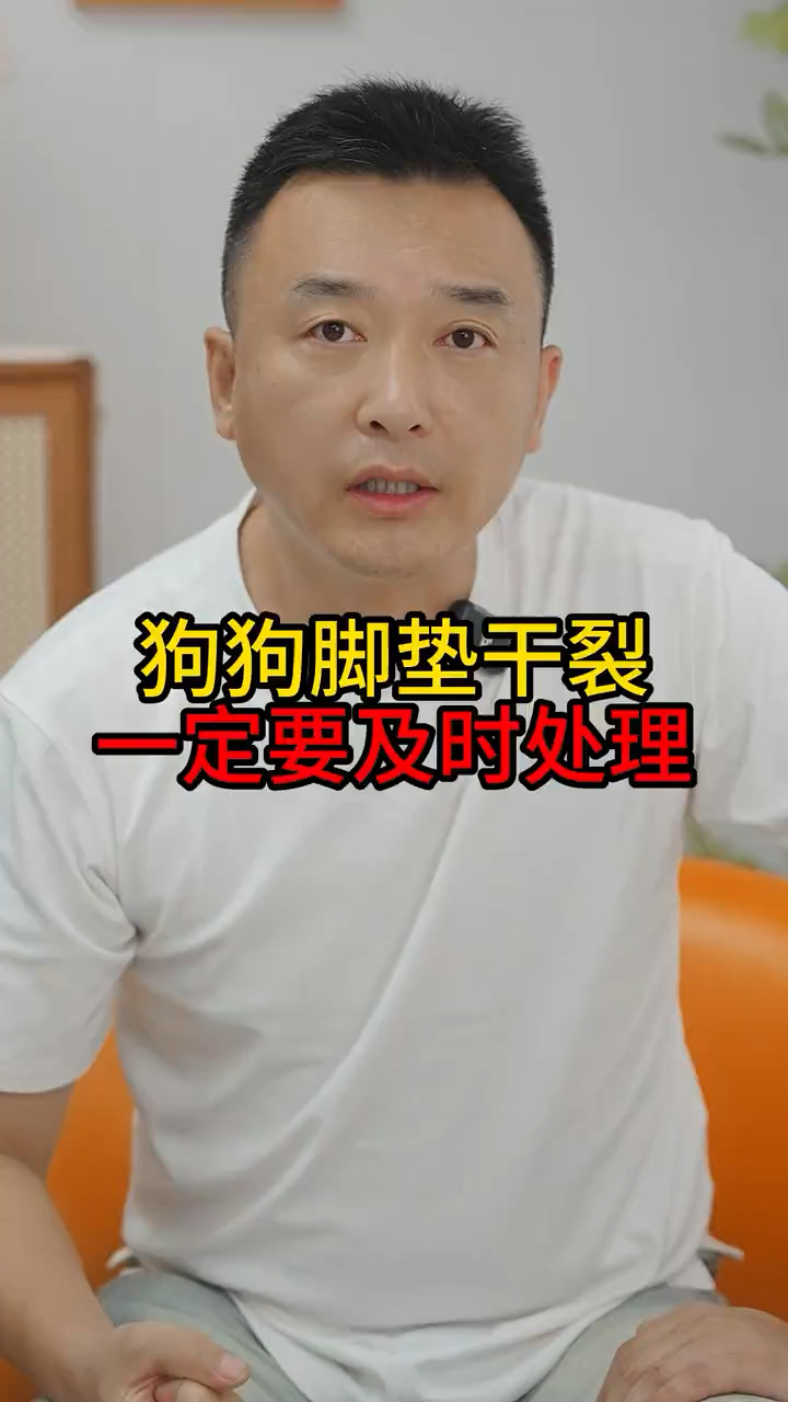 狗狗脚垫干裂一定要及时处理
