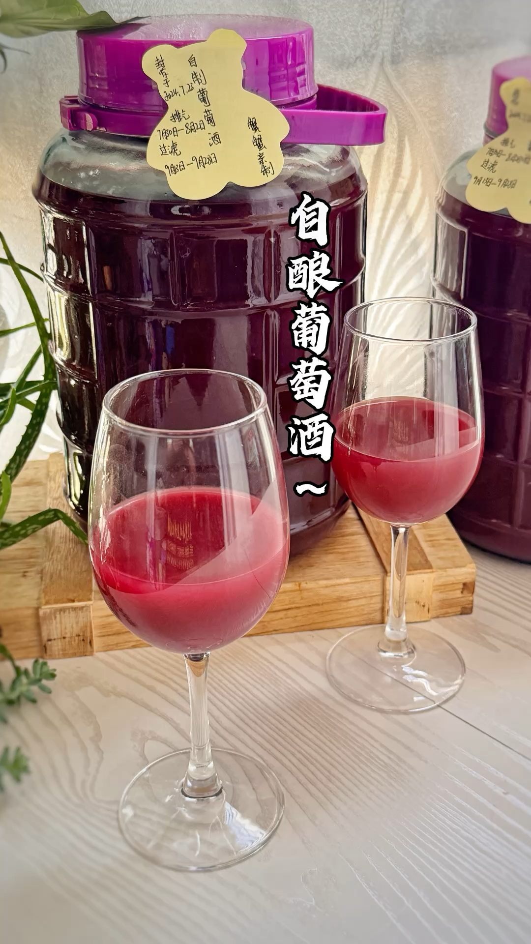 纯手工!自酿玫瑰葡萄酒巨详细教程!