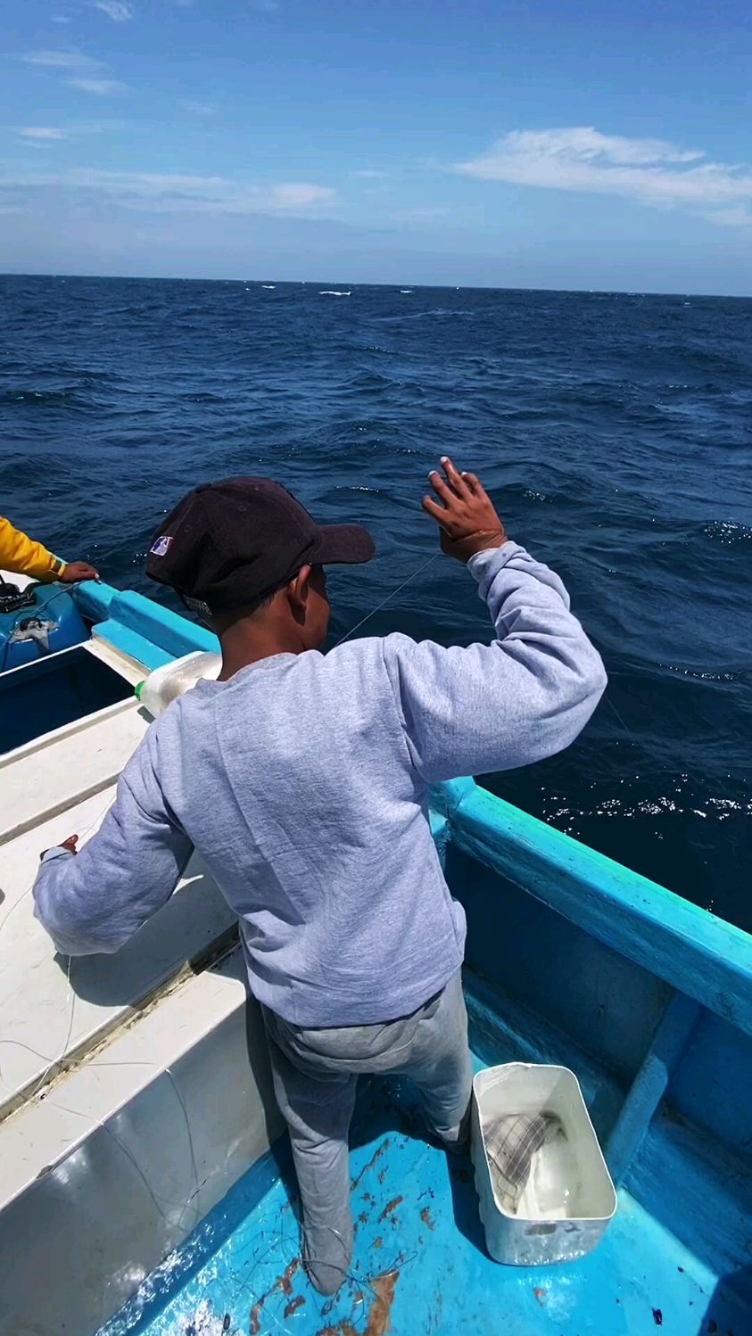 小男孩仅用一条鱼线与一枚鱼钩,就能钓到昂贵的黄鳍金枪鱼