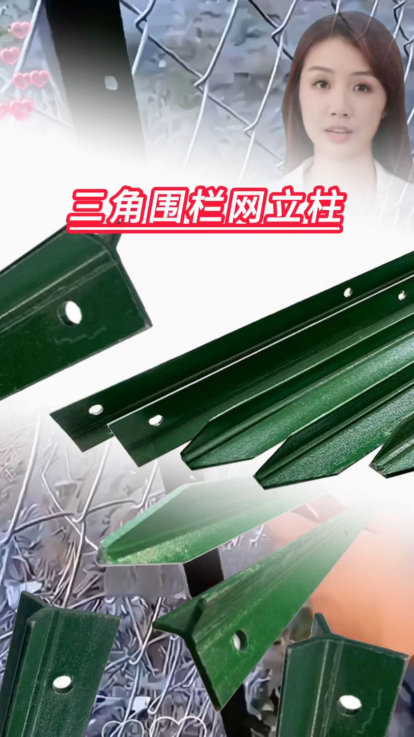 铁丝网立柱圈地围网专用栏杆塑料围栏网加厚柱子围栏防护实心铁柱