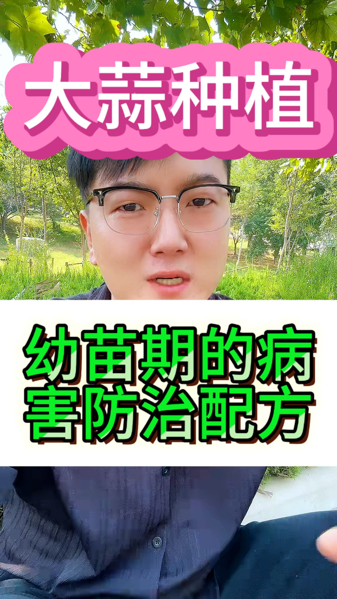 大蒜幼苗期的病害防治配方
