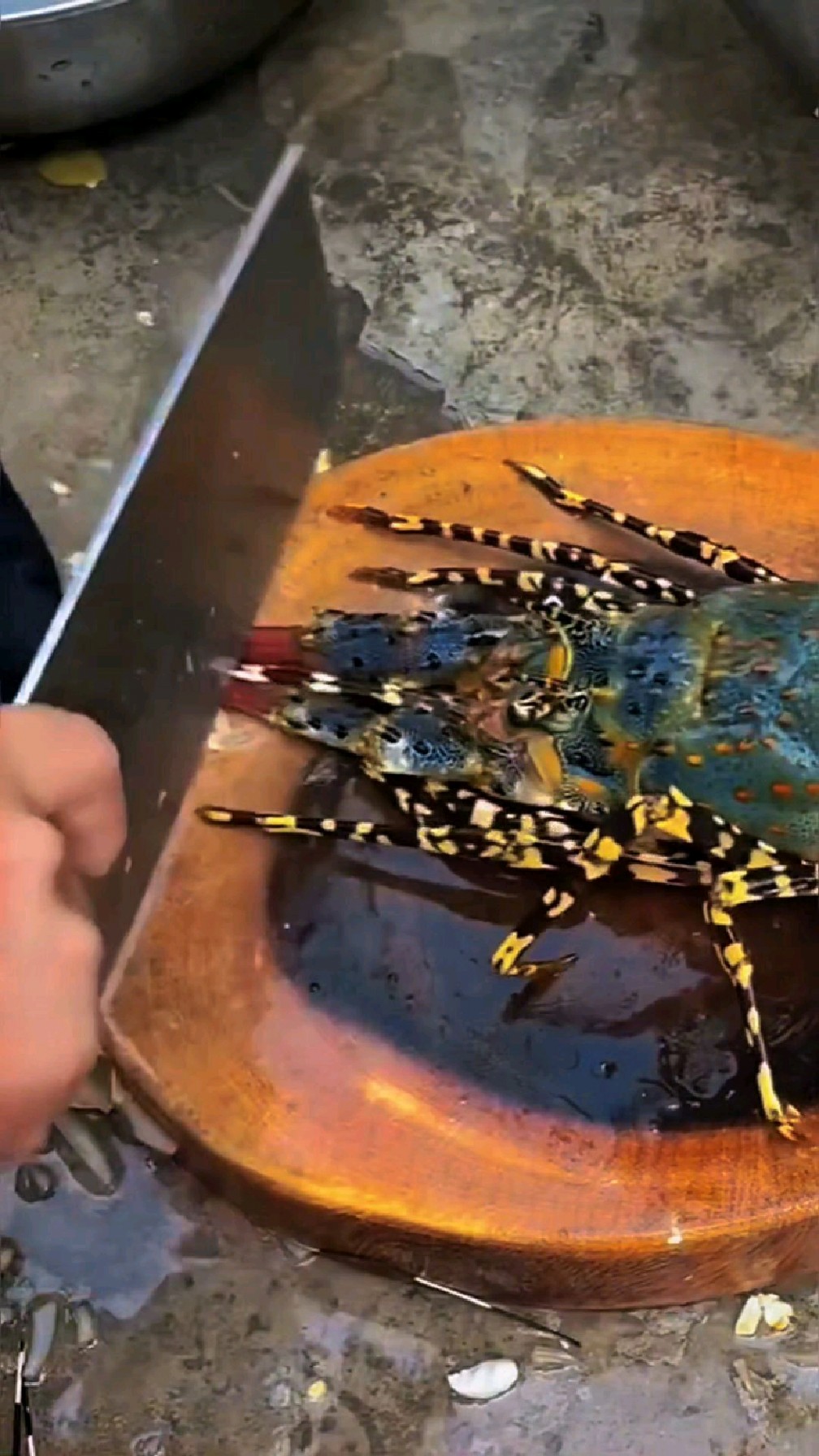 给大家处理个超大龙虾看看