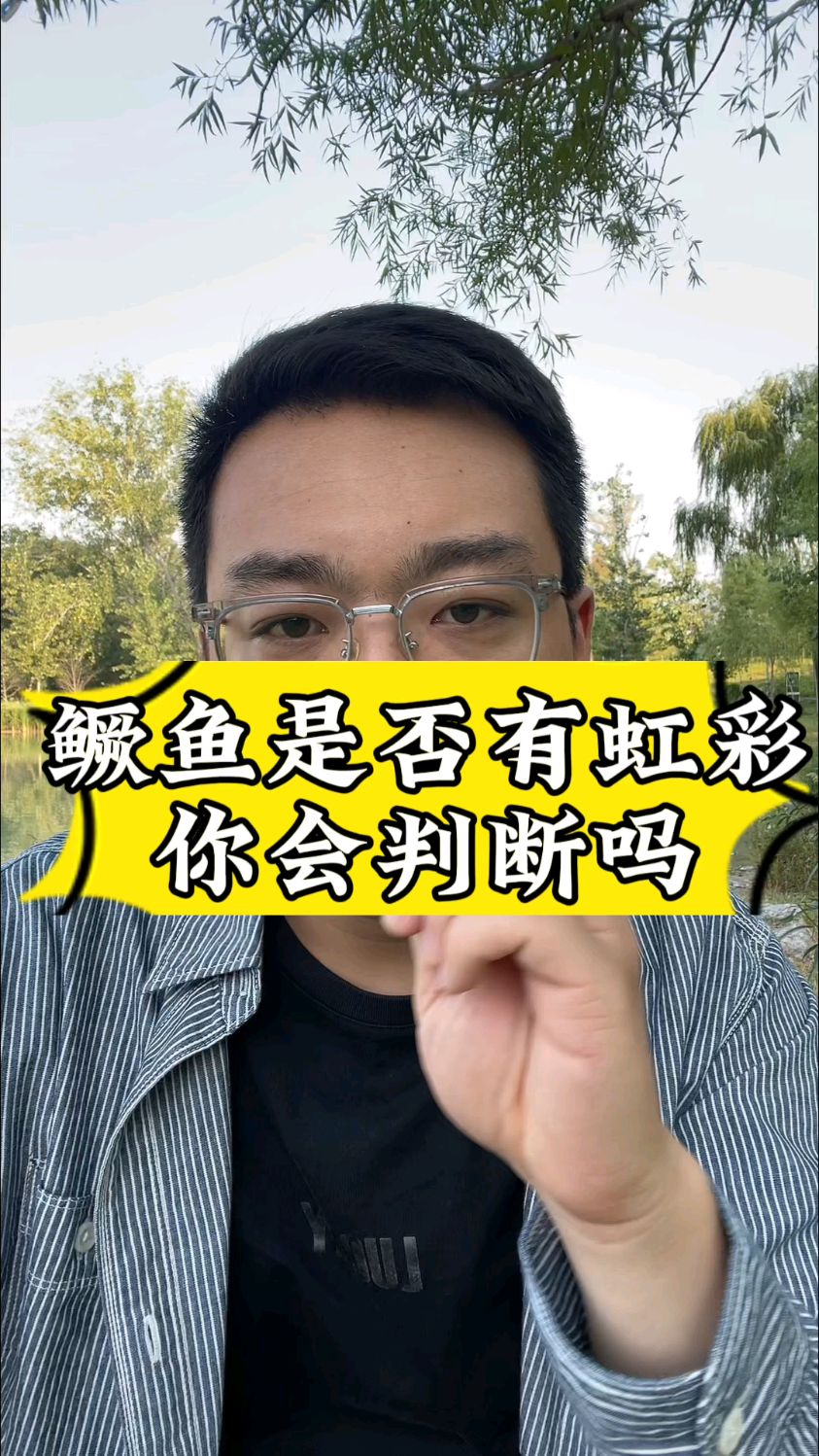 鳜鱼起虹彩是什么样子,你知道吗