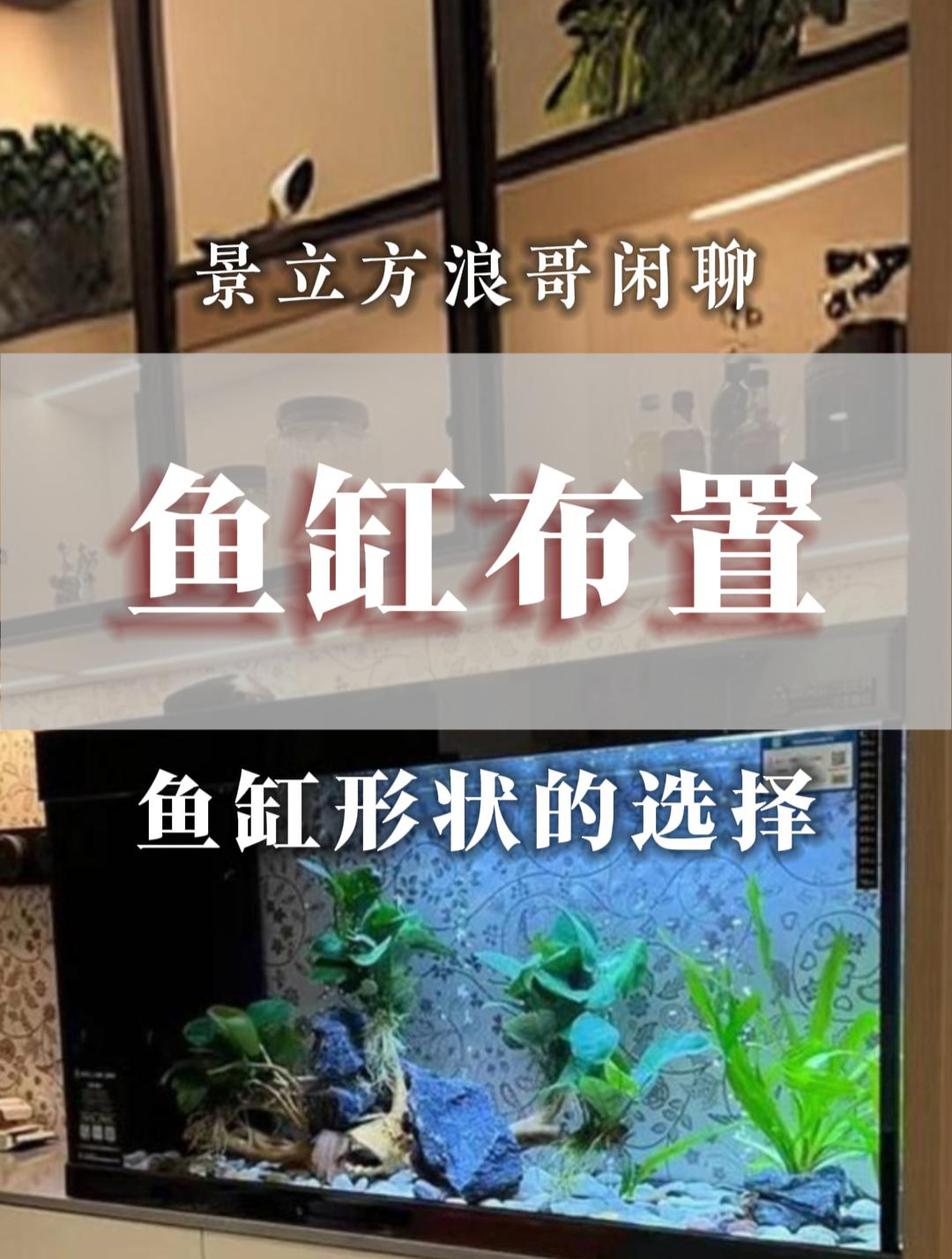 分析一下,鱼缸适宜选择什么形状呢?在风水里很有讲究!