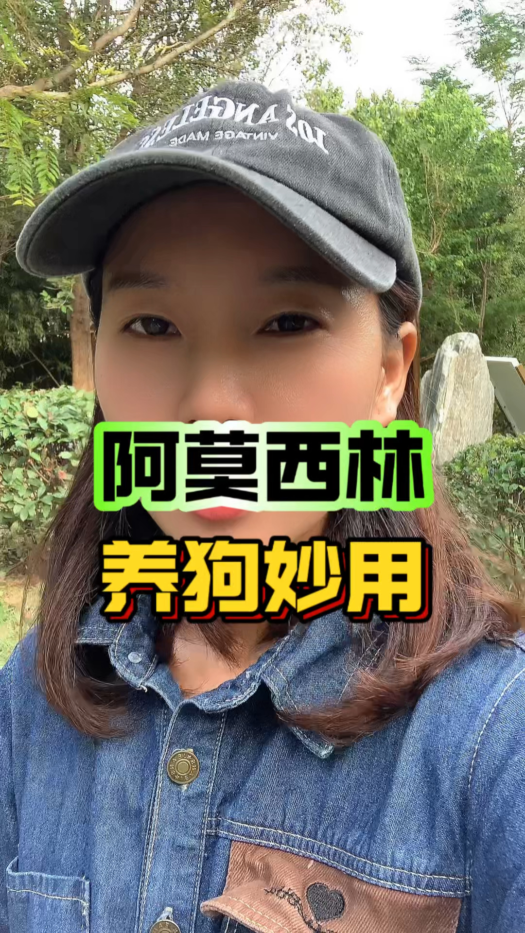 阿莫西林养狗妙用