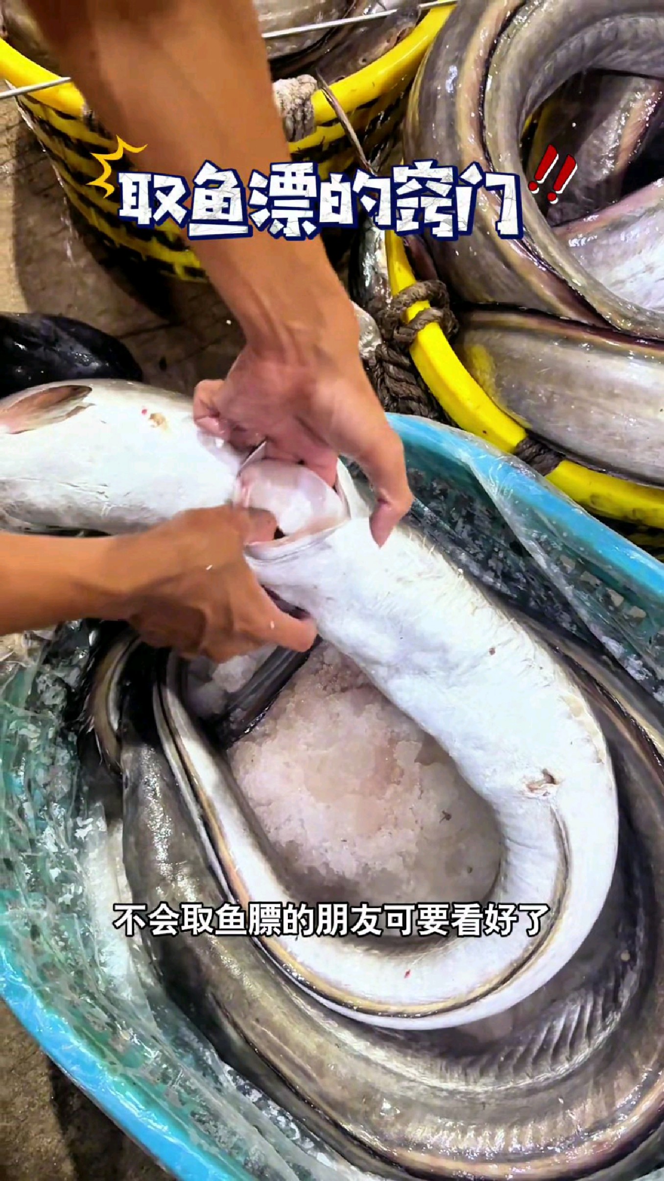 不会取鱼标的朋友可要看好了#我的钓鱼日记 #钓鱼也能这么快乐