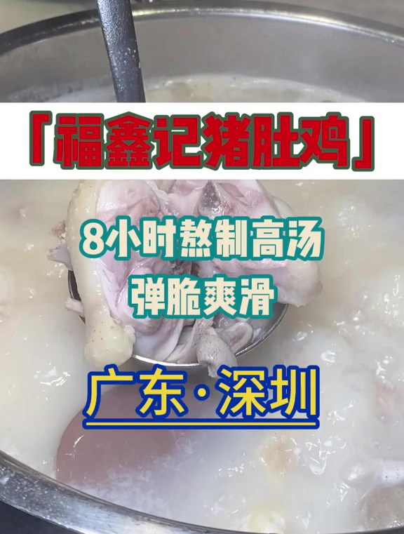 猪肚煲汤的猪肚鸡汤,要鲜掉眉毛了。猪肚鸡火锅,这家很nice