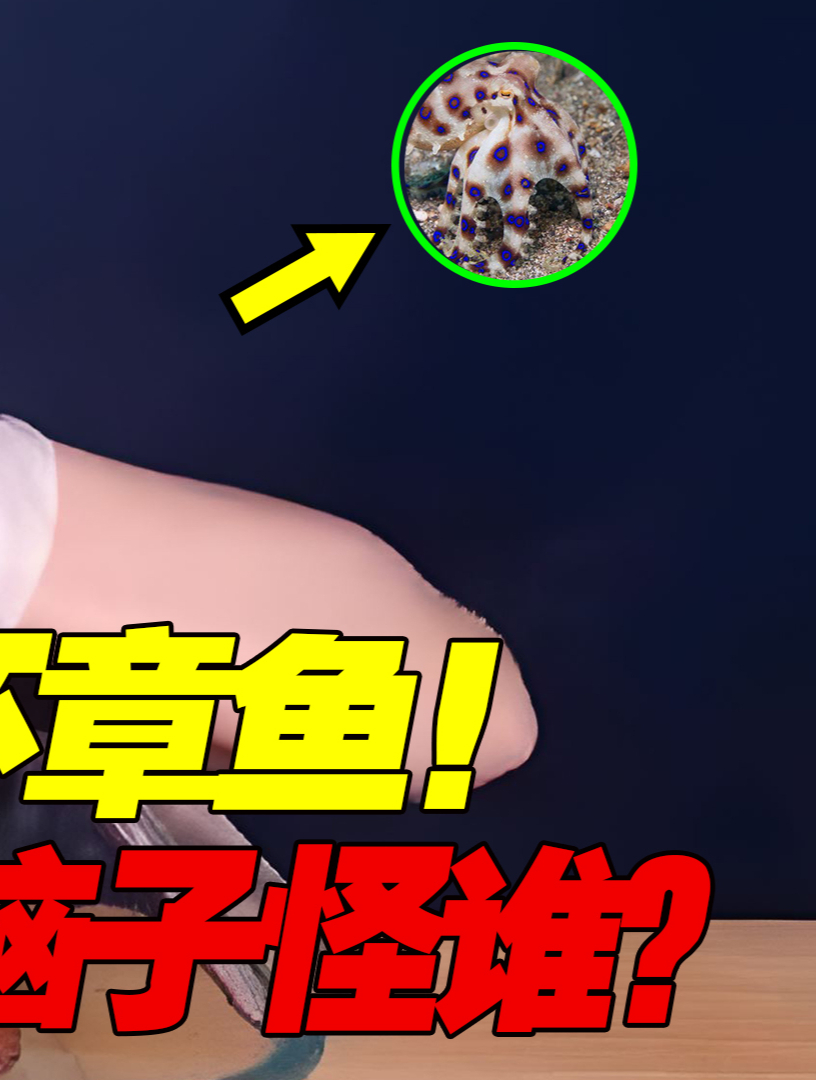广东女人胆大!烧烤“蓝环章鱼”中毒,商家:自己没脑子怪谁?