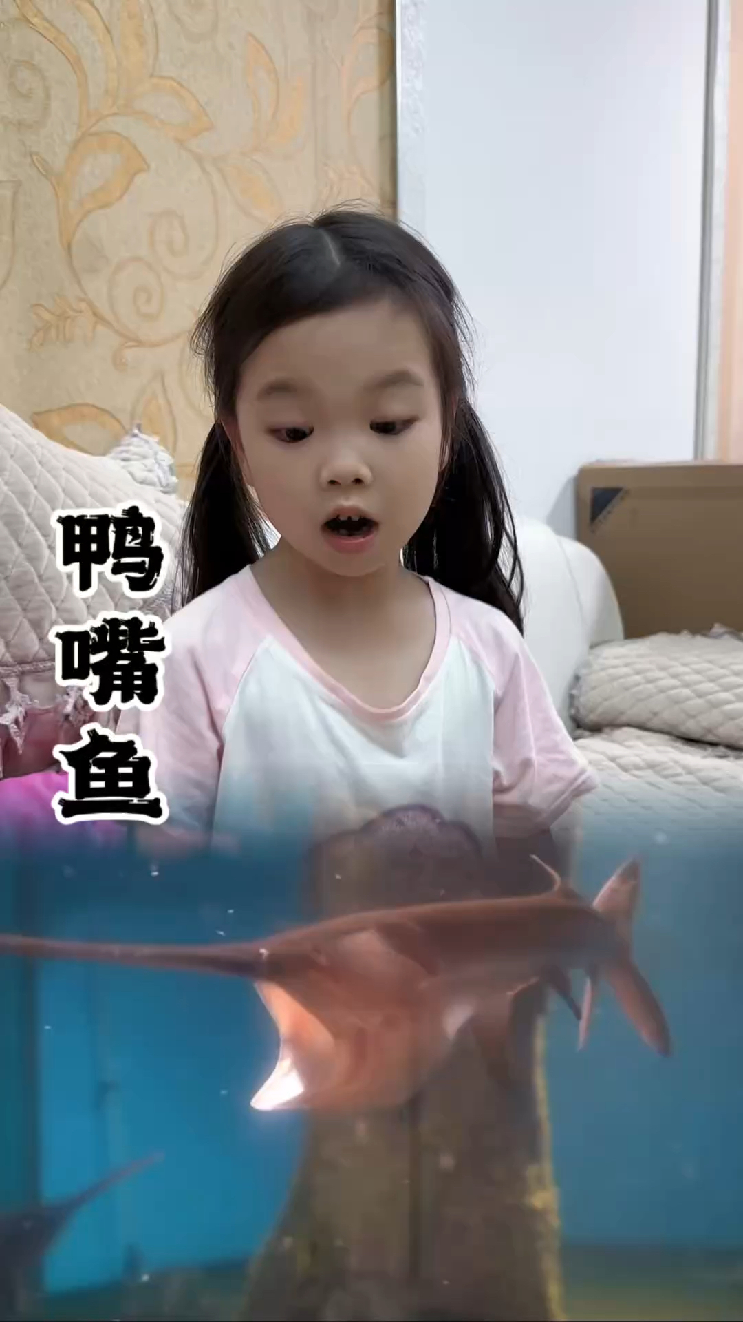 这种鱼,不仅长着鸭子的嘴巴,并且还见过恐怕,你们见过吗?