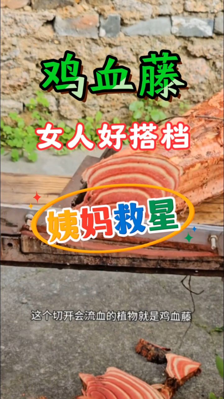 深山老林藏血藤,女人煮水当救星,鸡血藤你知道吗?