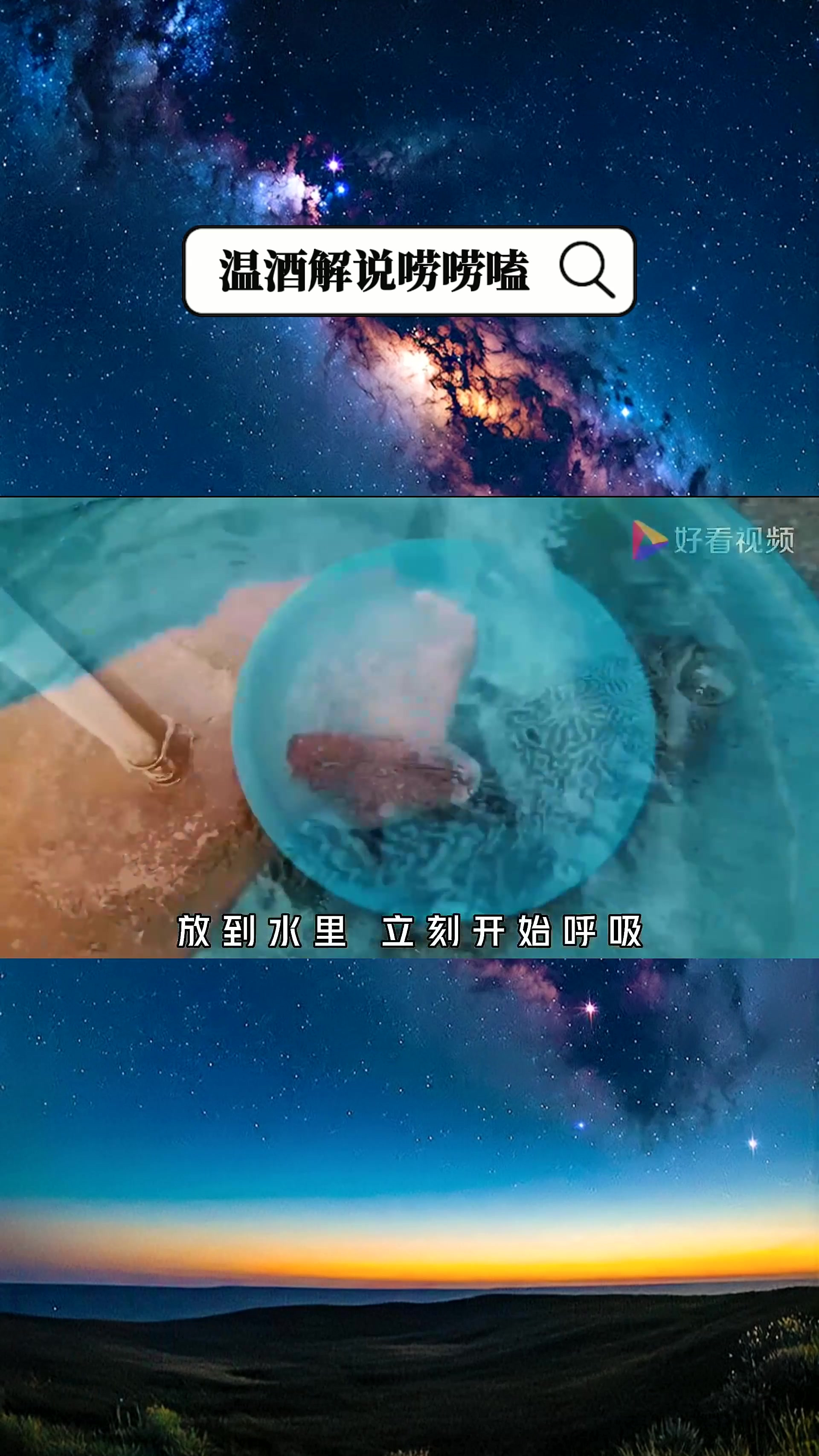 清道夫究竟有多可怕?晒成鱼干,遇水复活。冰镇它,遇水生龙活虎
