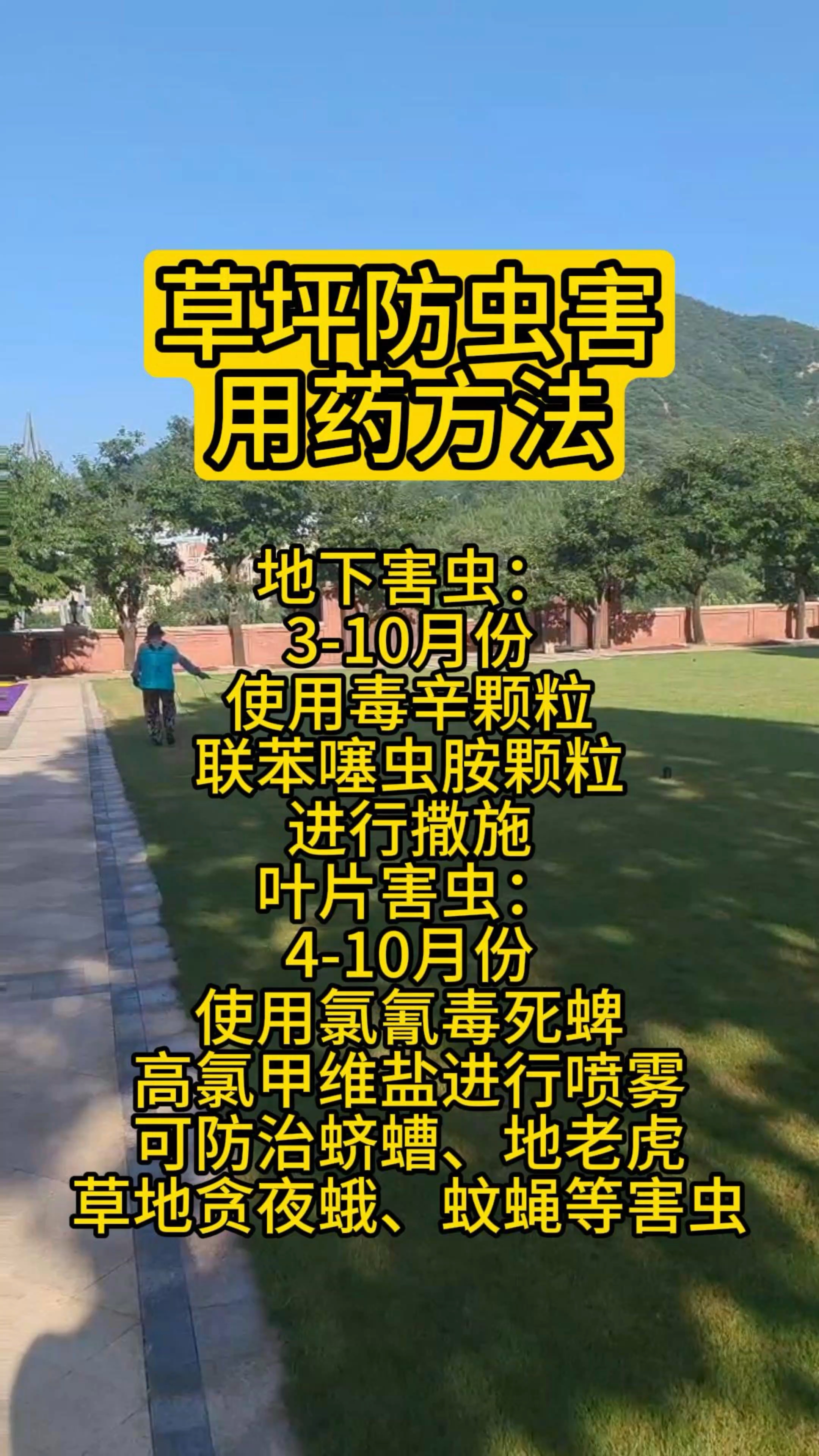 草坪防虫害用药方法