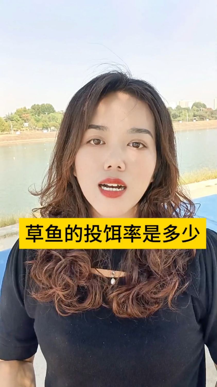 草鱼的投饵率是多少