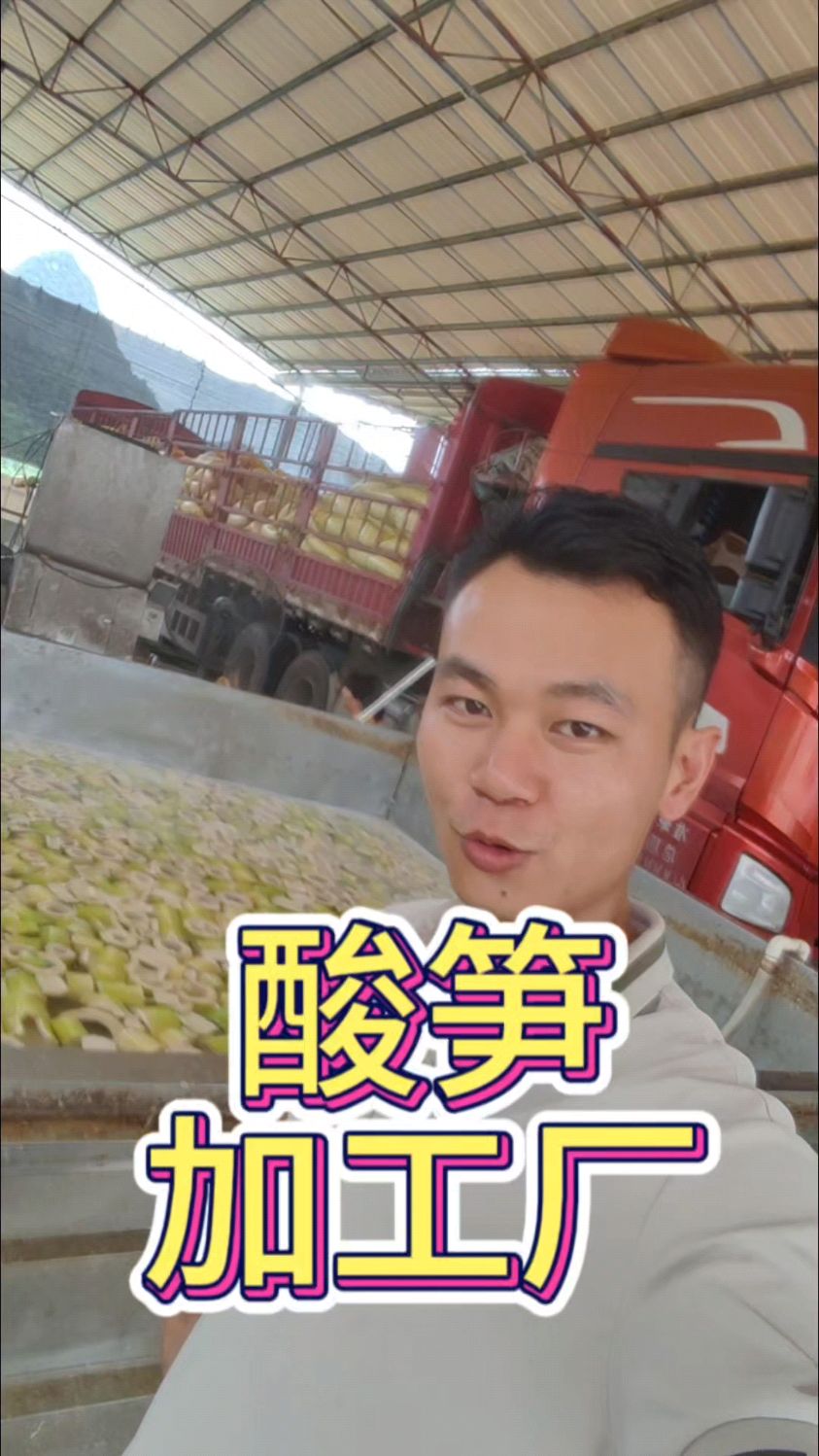 麻竹笋酸笋丝脆嫩爽口解馋
