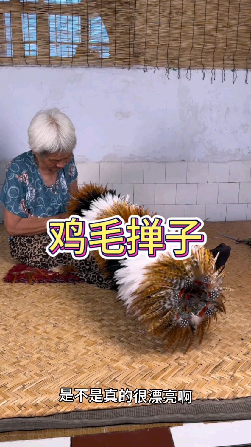 看着眼前的鸡毛掸子,那是真的很漂亮呀