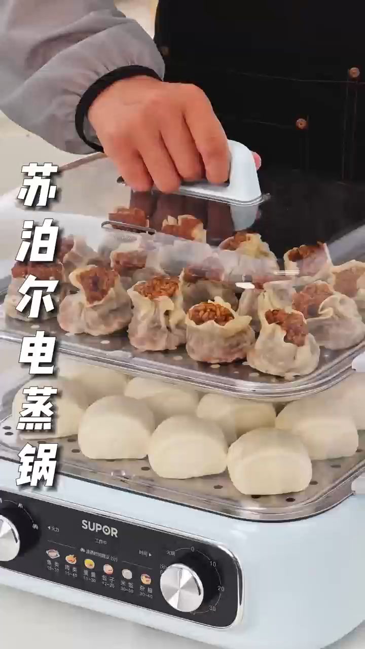 苏泊尔蒸锅电蒸锅炖蒸煮一体