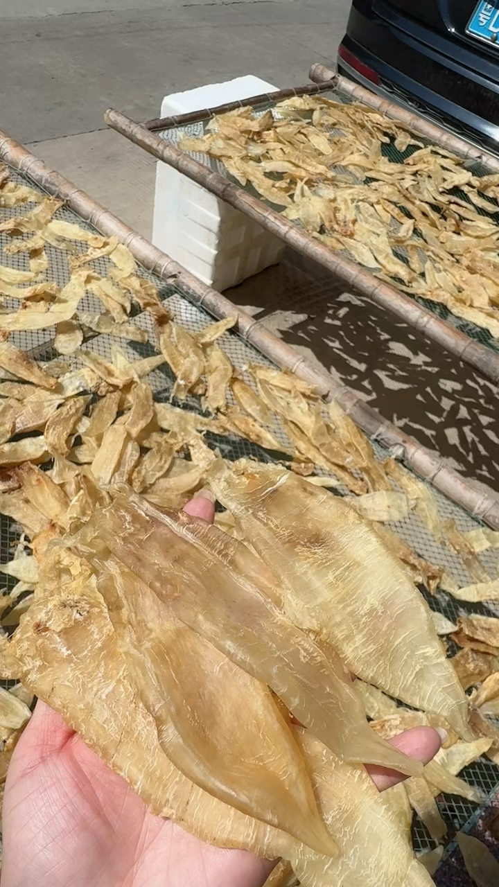 厚肉北海金龙鱼胶,家庭炖汤营养价值高,月子胶,一斤22头