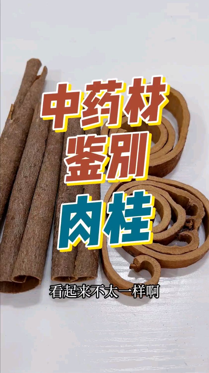 中药材鉴别之肉桂