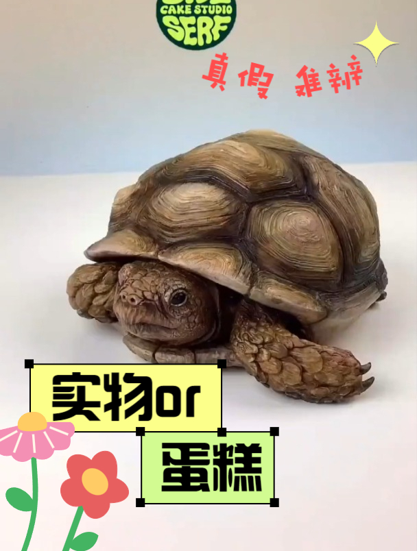 实物?不对,欢迎来到蛋糕的世界