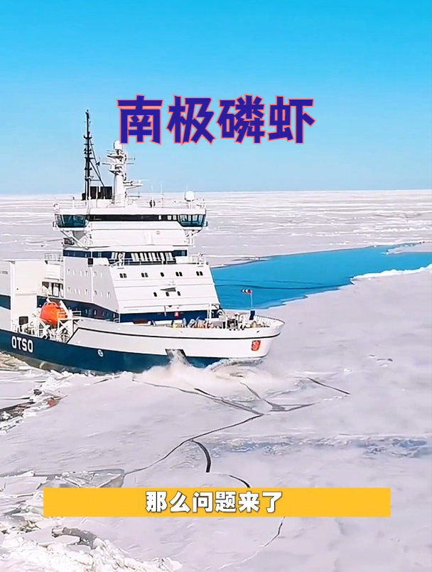 南极磷虾你认识吗?