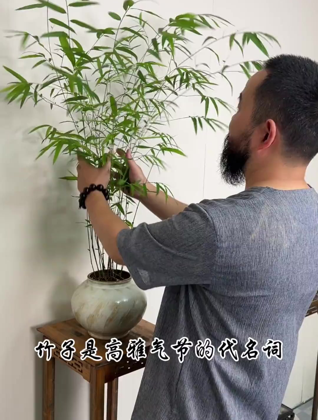 竹子盆栽,爱生活爱养花