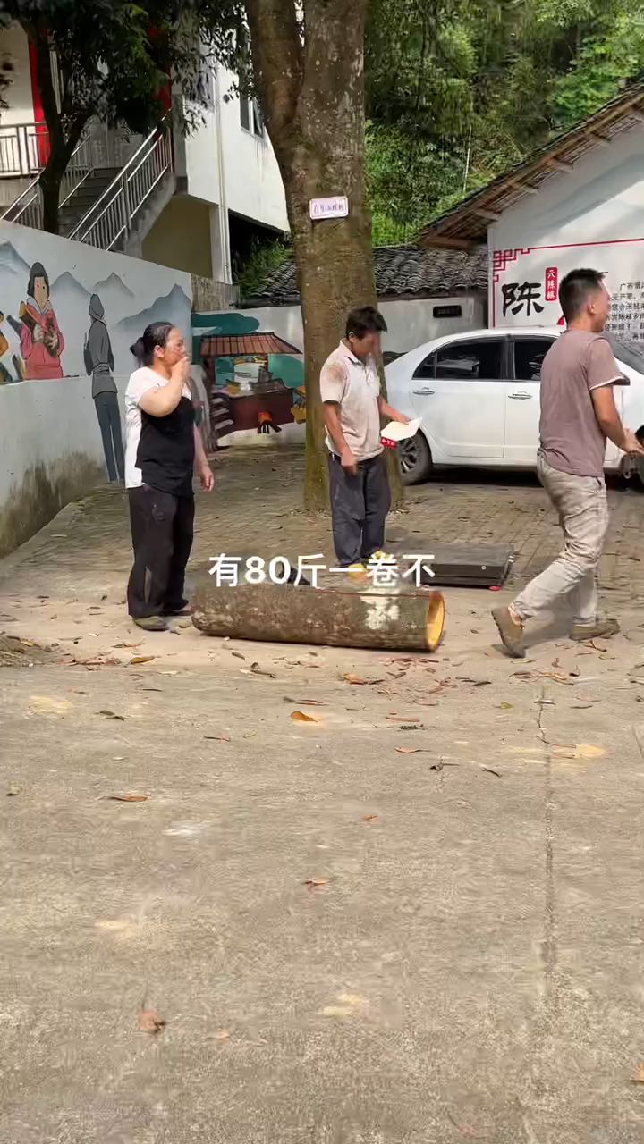 优质原产地肉桂皮