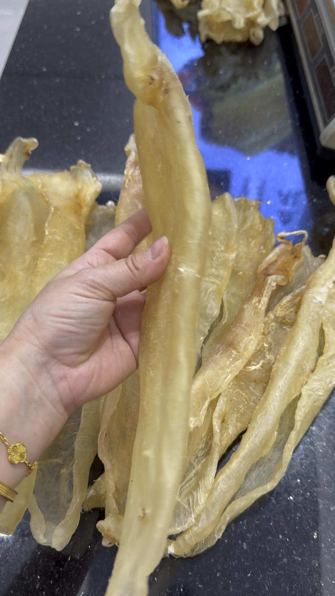 大北海鱼胶,一斤4个左右!具有美容养颜补胶原蛋白等功效!