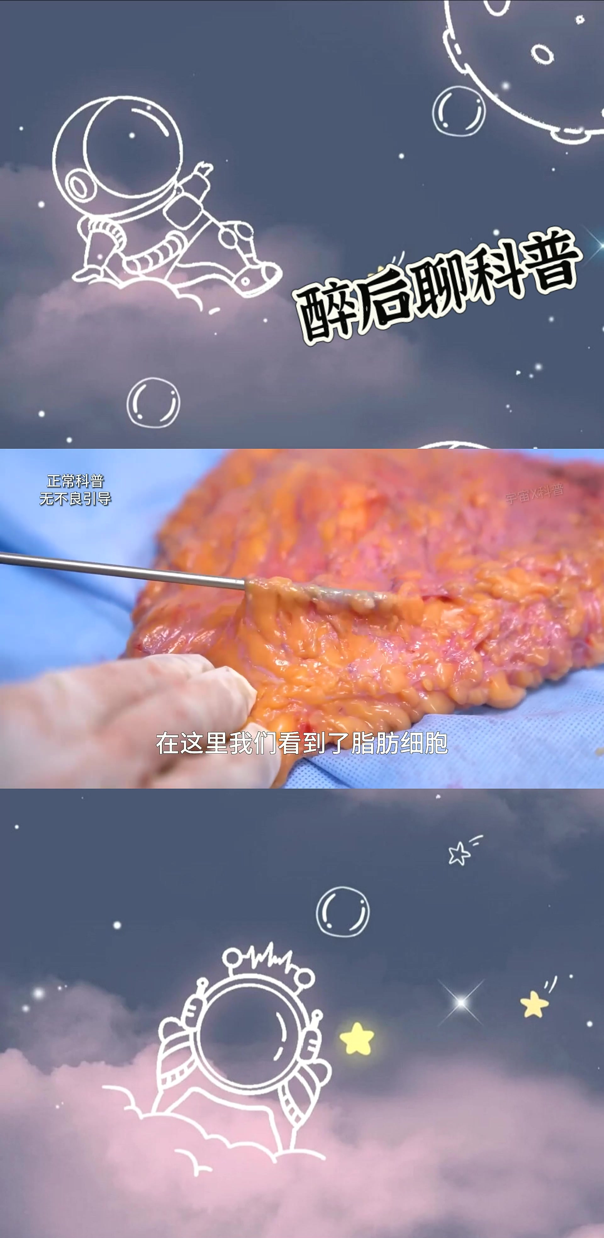 想知道脂肪是怎样排出体外的吗?本期视频告诉你。