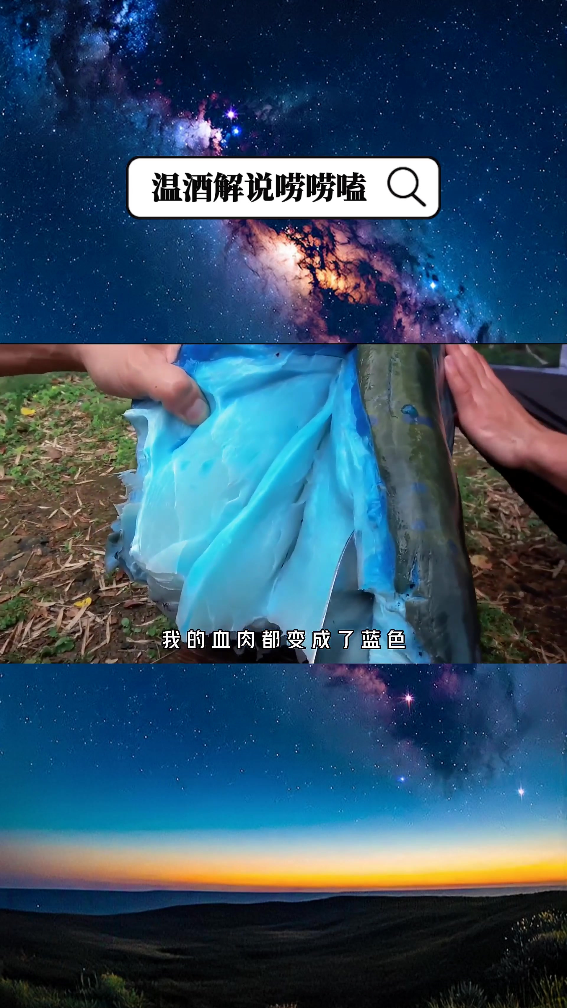 拥有蓝色血肉的海洋贵族,波纹唇鱼,却被日本人吃到濒危