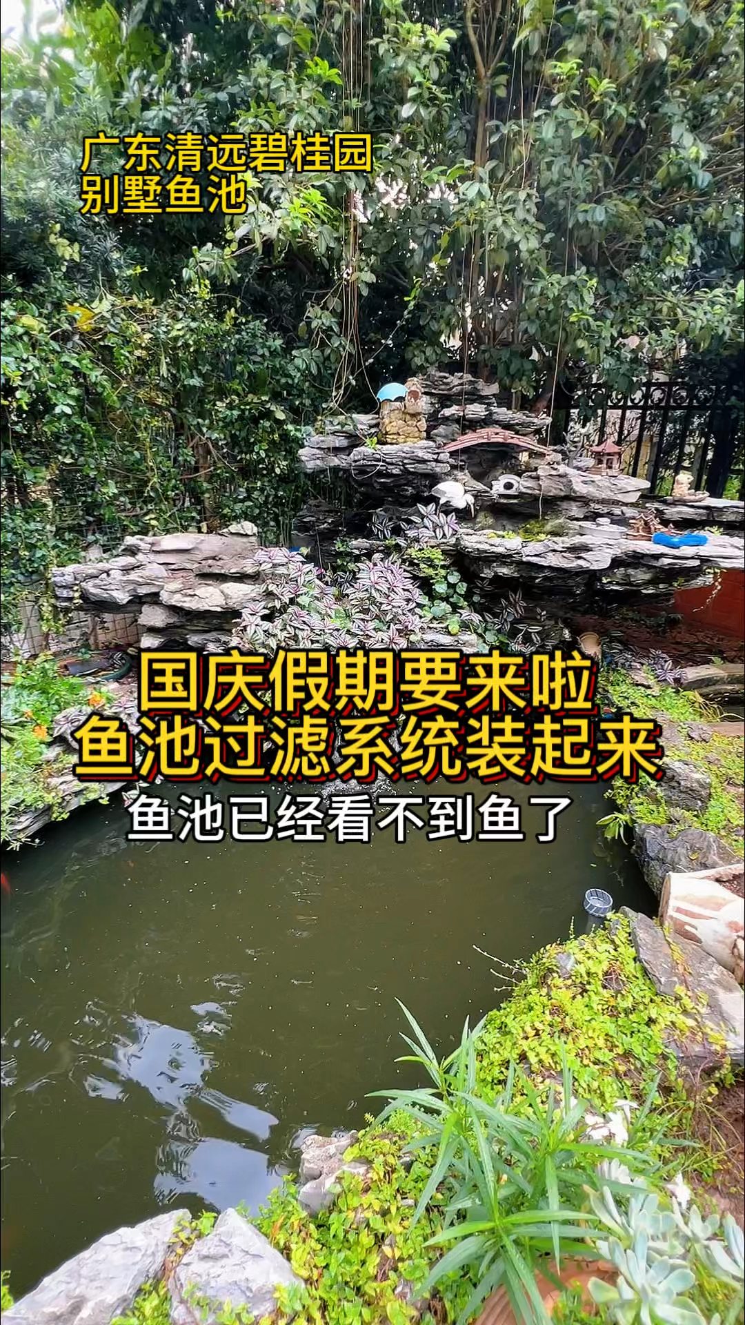 国庆来临庭院锦鲤鱼池过滤净化装起来