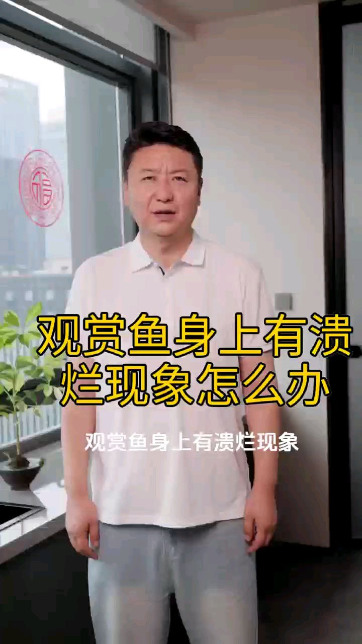 观赏鱼身上有溃烂现象怎么办