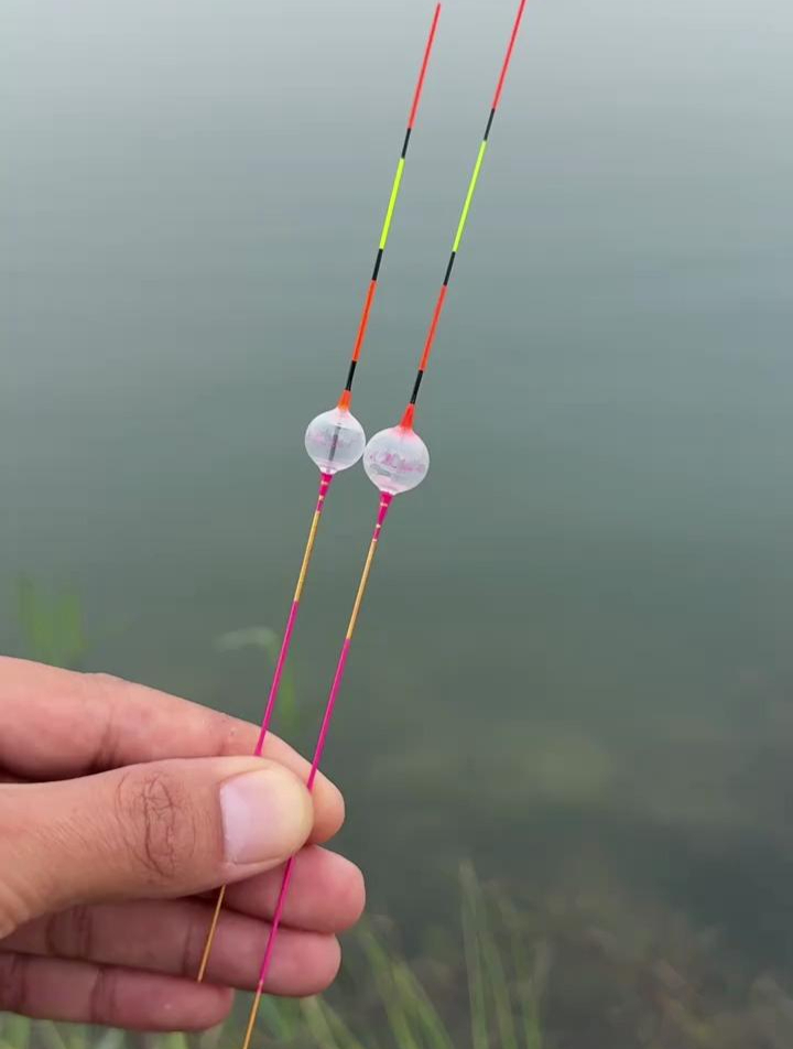秋冬季节钓浅水鲫鱼都在用的浮漂,吃口清晰,一钓一个准