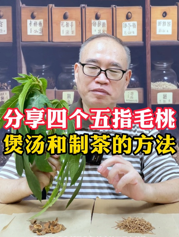 分享四个五指毛桃,煲汤和制茶的方法