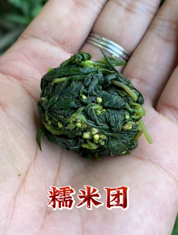 糯米团,它有什么用处呢?