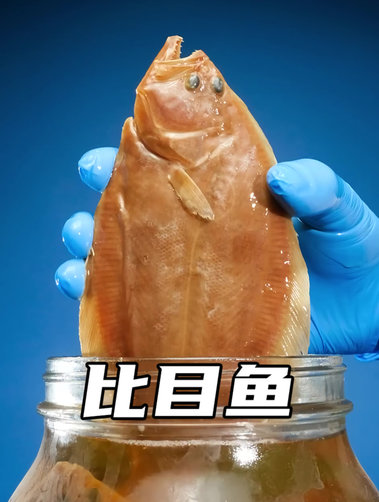 比目鱼长得真奇怪,两只眼睛长在同一侧