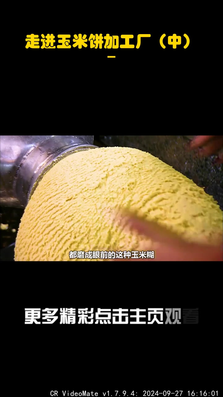 走进玉米饼加工厂(中)_