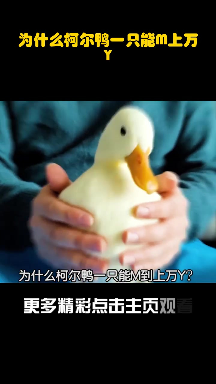 为什么柯尔鸭一只能M上万Y?