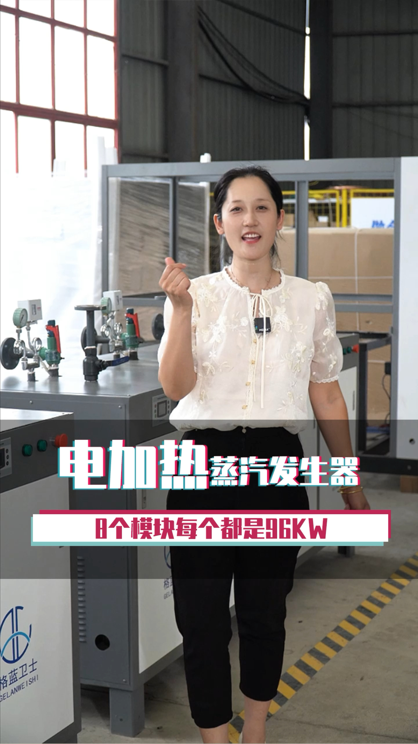 电加热蒸汽发生器