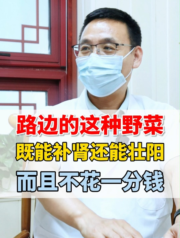 路边的这种野菜,既能补肾还能壮阳,而且不花一分钱