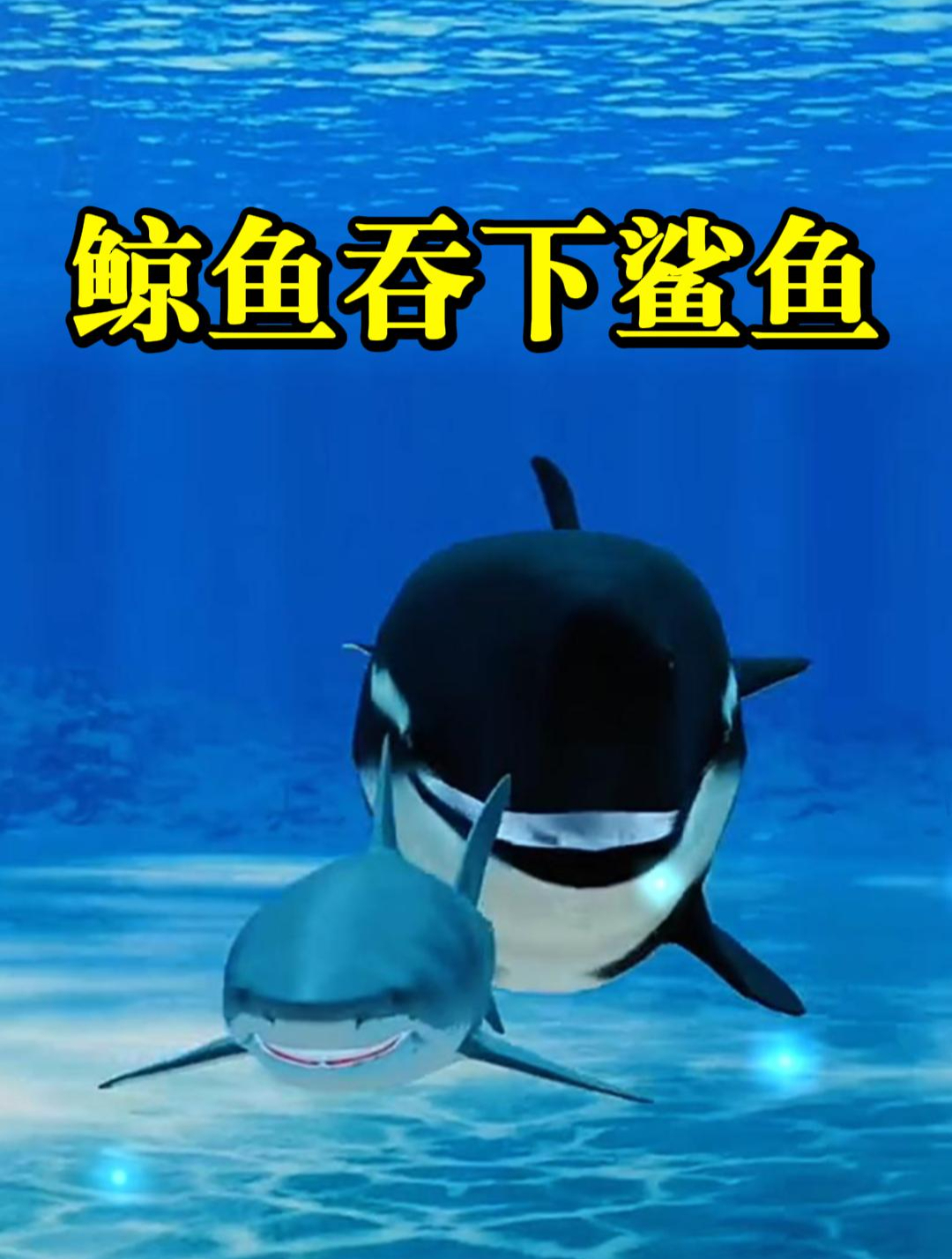 如果鲸鱼吞下一条鲨鱼会发生什么