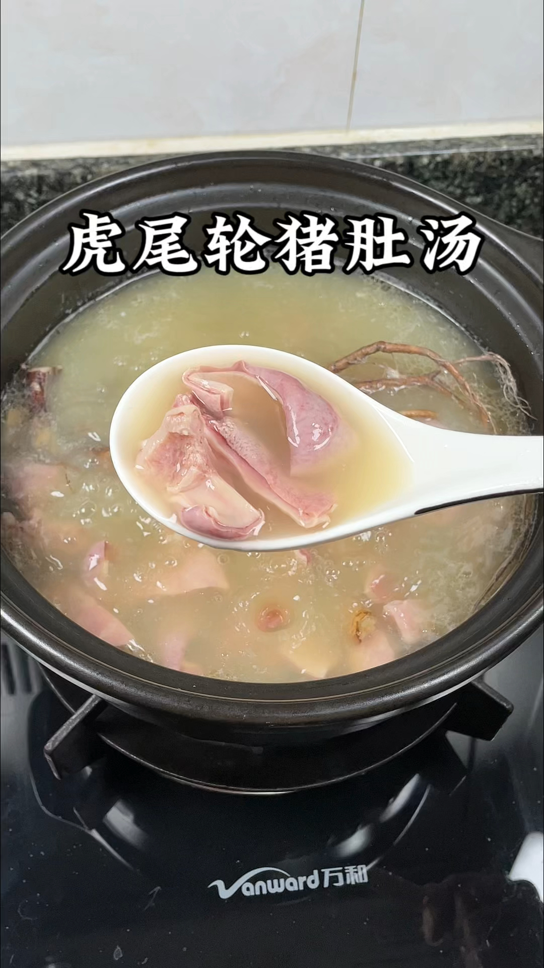 闽南人都知道这个汤喝了对身体好,虎尾轮炖猪肚