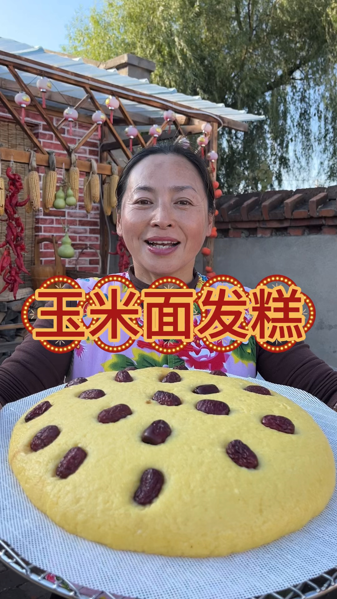 东北农村生活,宠物猫被土鸡追,邻居来送菜,翠花做喧软大发糕