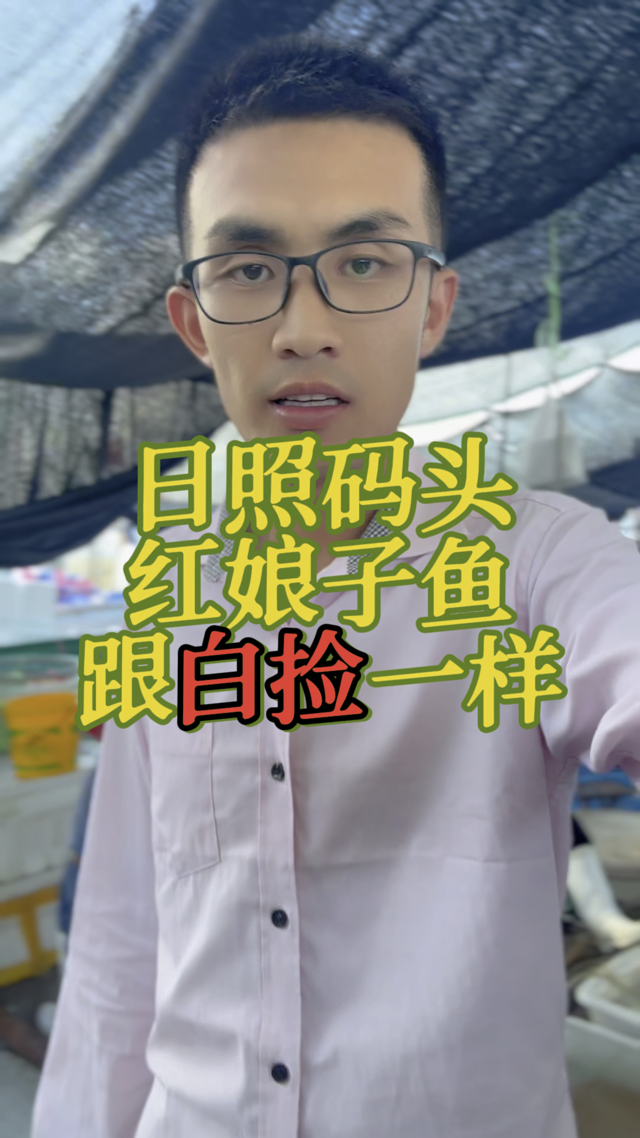 日照码头红娘子鱼跟白送一样
