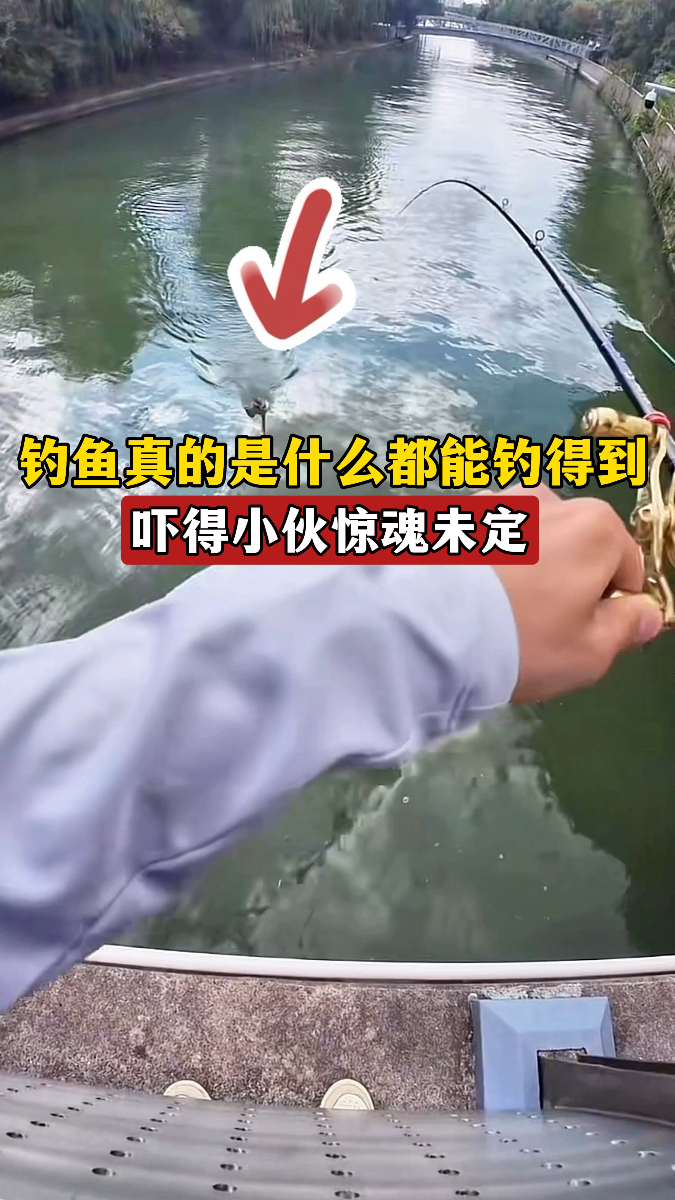 钓鱼真的是什么都能钓到,吓得小伙惊魂未定,不管是几级赶快放掉