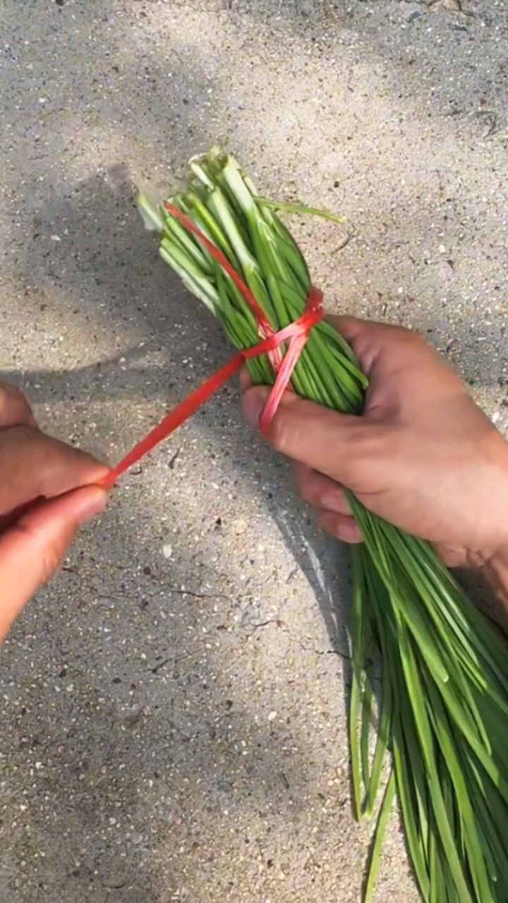 快速打捆韭菜的方法