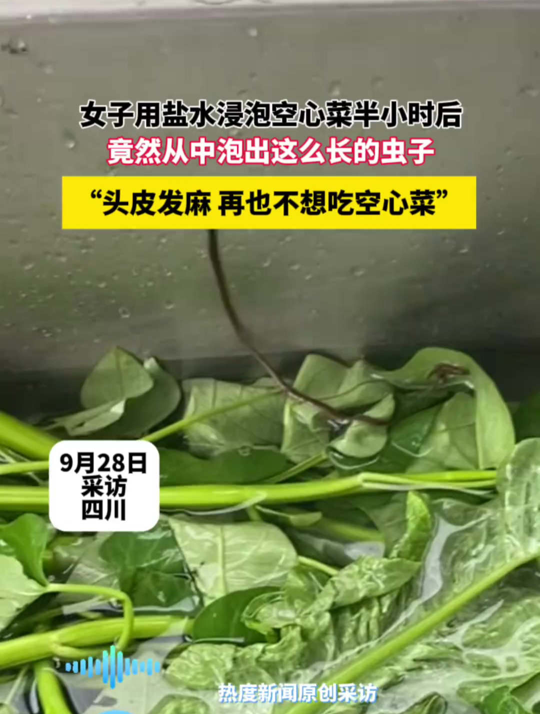 女子用盐水浸泡空心菜半小时后,竟从中泡出这么长的虫子!