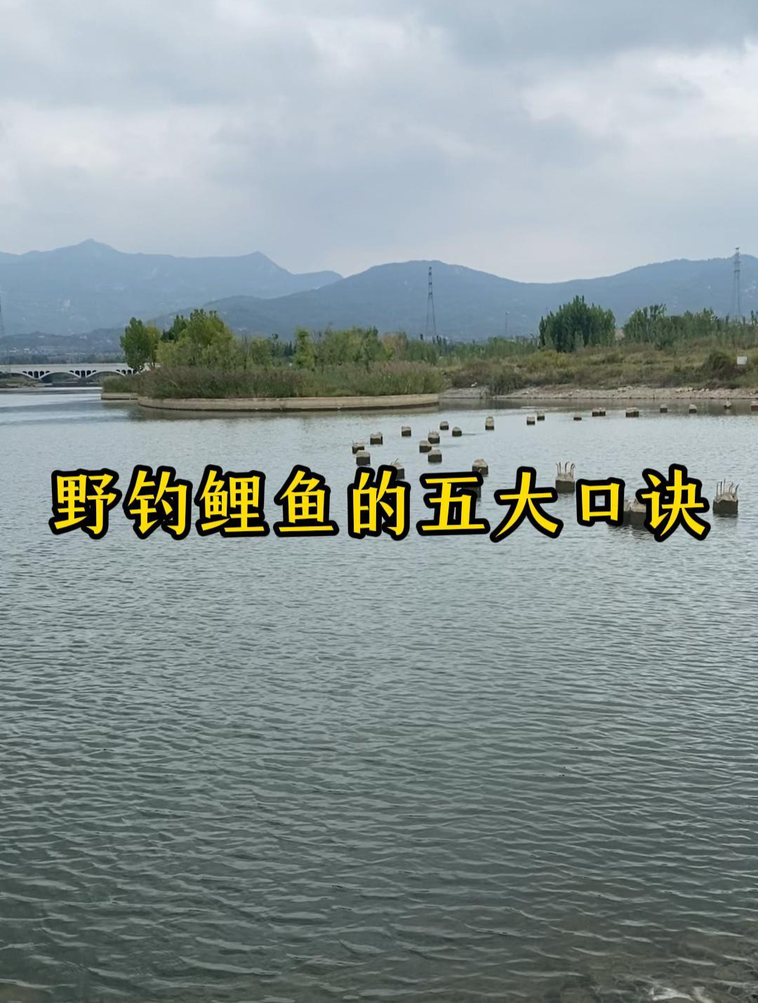 野钓鲤鱼的五大口诀,新手老手都要记得!