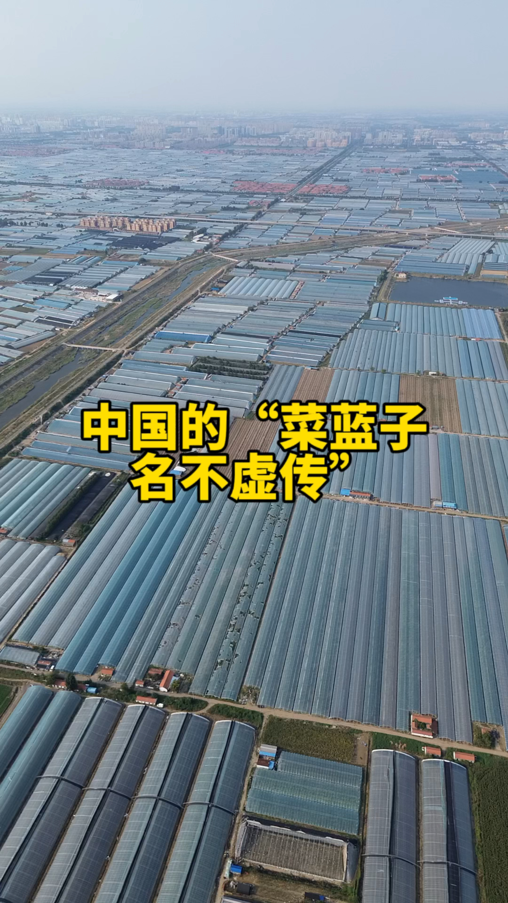 中国的“菜篮子”名不虚传!